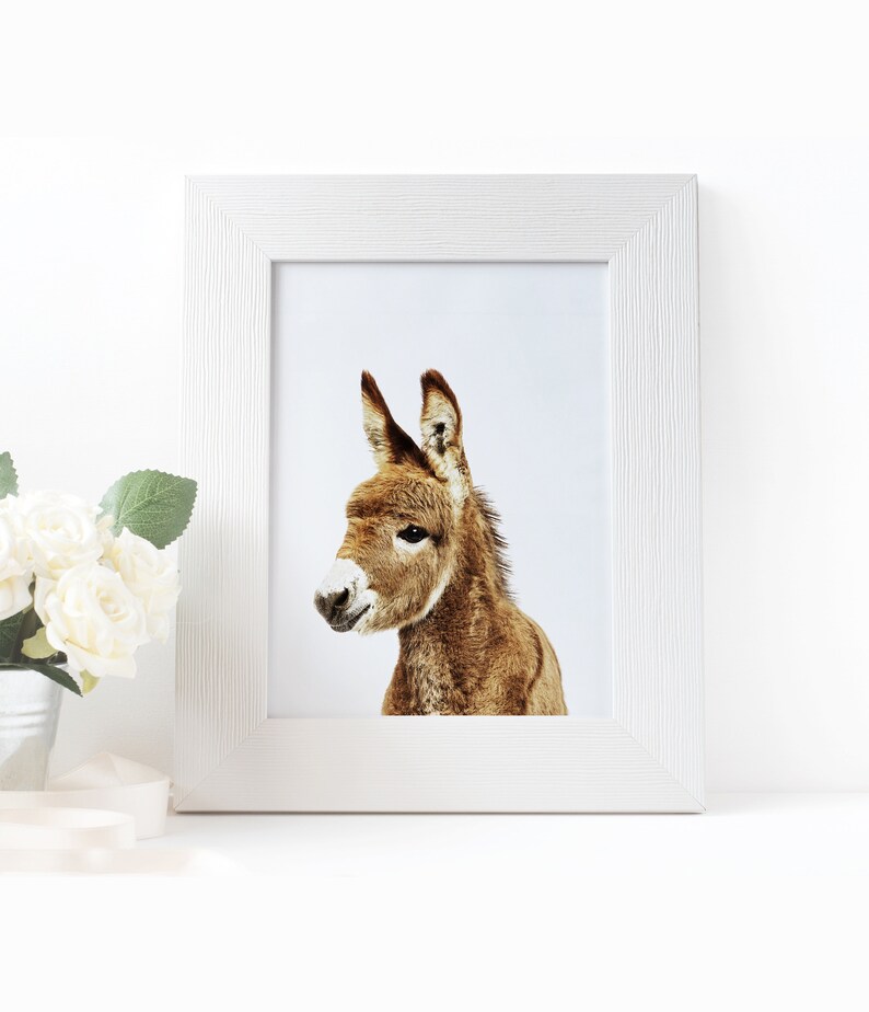 Donkey Print Baby Donkey Wall Decor Donkey Poster Nursery Etsy
