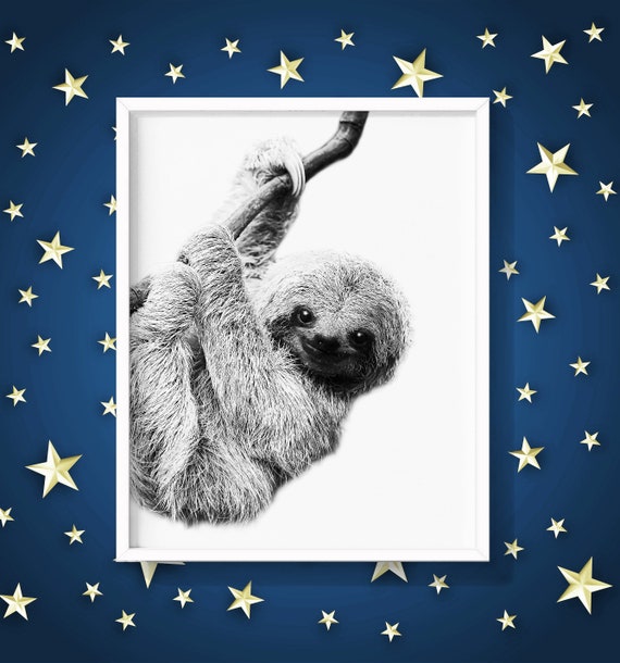 Impression De Paresseux Noir Et Blanc Art Mural De Crèche | Etsy France