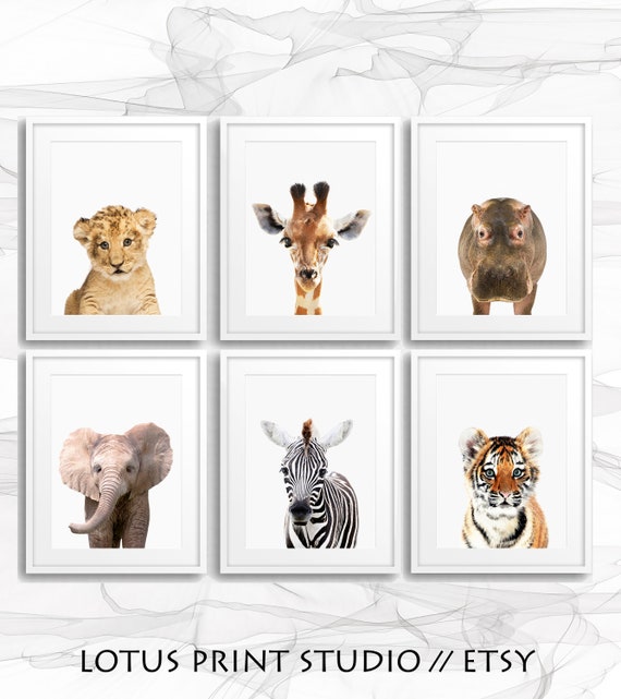 6 A5 Safari Jungle Animals Nursery Prints Set Of 6 Baby Room Pictures Wall Art