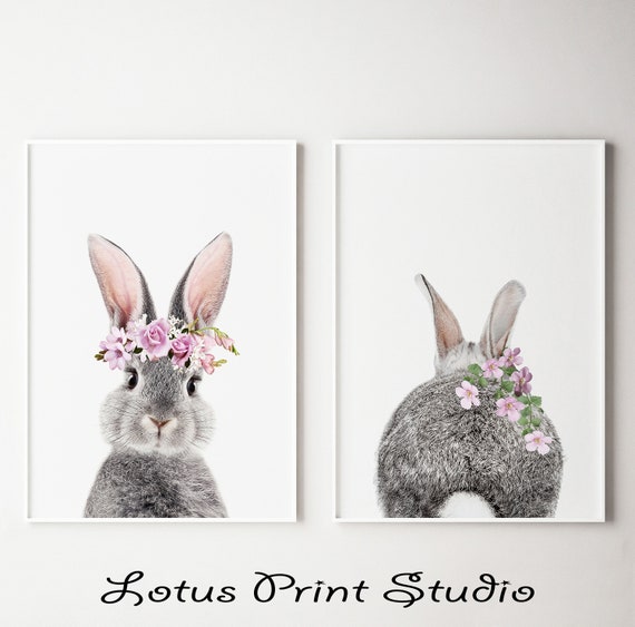 bunny rabbit pictures for nursery