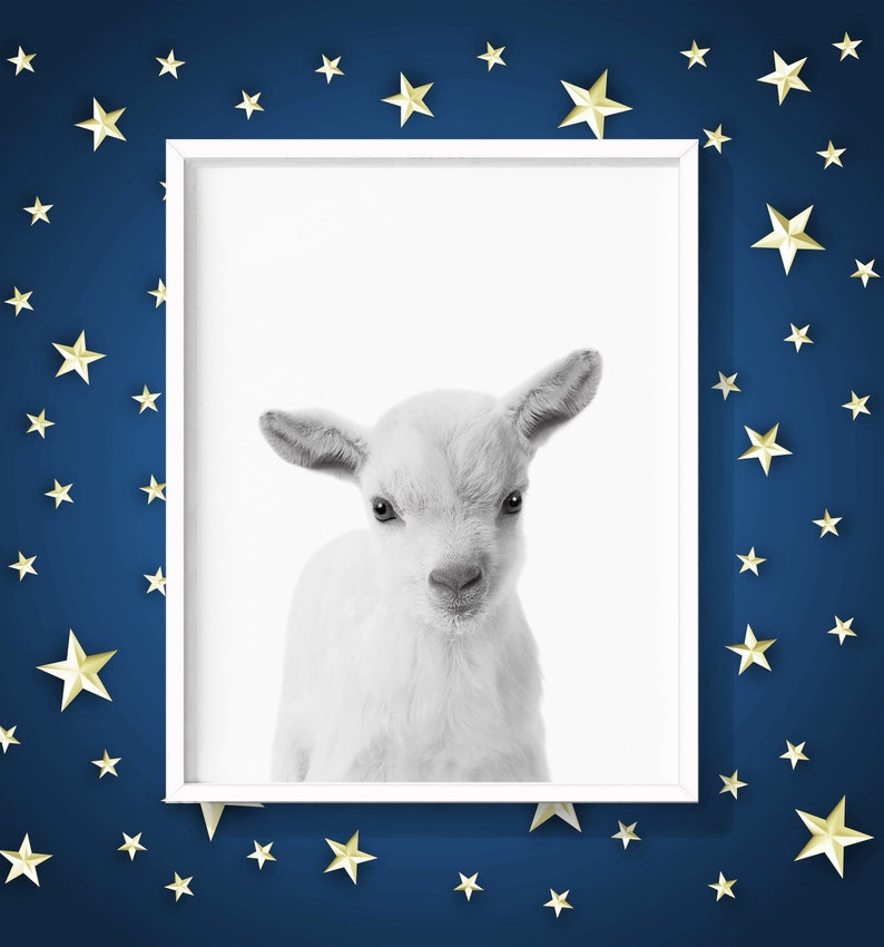 Lamb Print Nursery Animal Wall Art Black and White Wall Etsy