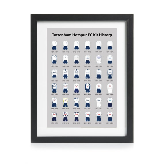 tottenham hotspur junior football kit