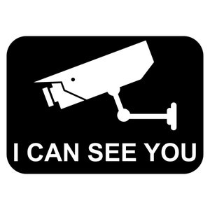 I Can See You Sign Plaque