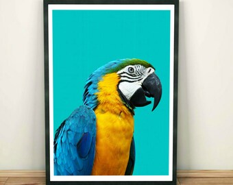 Tropical Bird Print, Parrot Wall Art, Bird Photography, Macaw Parrot, Large Printable Poster, Aqua Blue and Yellow Tropical Wall Art Decor