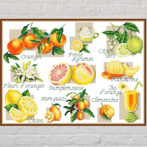 Cross stitch pattern Citrus Sampler, fruit cross stitch, nature embroidery, vintage cross stitch, digital PDF file, printable cross stitch
