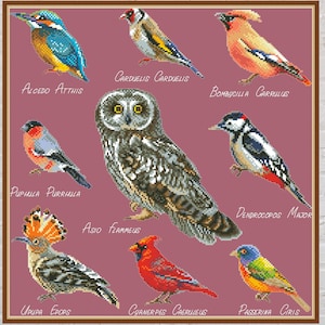 Cross stitch pattern Bird Sampler, nature cross stitch, vintage embroidery, owl, red cardinal, digital PDF file, printable cross stitch