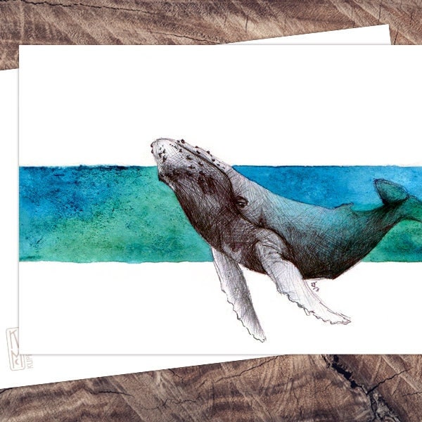 Walgesang - Postkarte Illustration mit Aquarell und Stift, A6, Druck auf Recyclingpapier, öko, klimaneutral | Rabattware