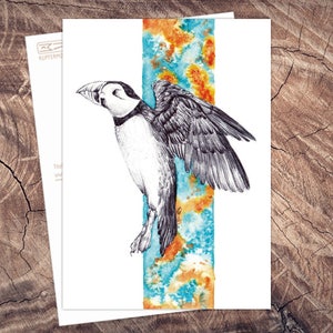 Papageientaucher- Postkarte Illustration Aquarell und Kugelschreiber, A6, Druck auf Recyclingpapier, öko