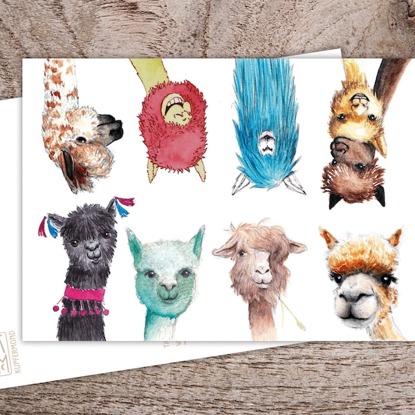 Team Alpaca - Postkarte Illustration A6