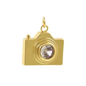 May include: Gold camera charm with a clear rhinestone lens.