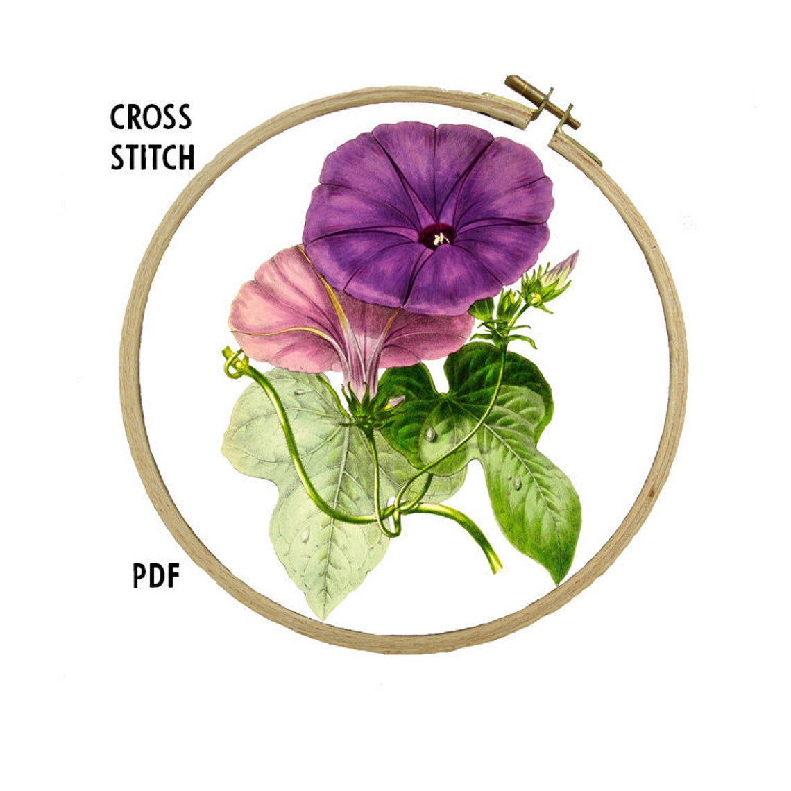 Bindweed flower cross stitch pattern garden plants floral  etsy Bindweed flower cross stitch pattern garden plants floral  etsy