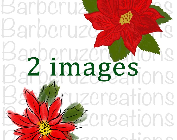 Poinsettia, Christmas, Christmas plant, flower, digital download, png, clip art, sublimation design, instant download, transparent