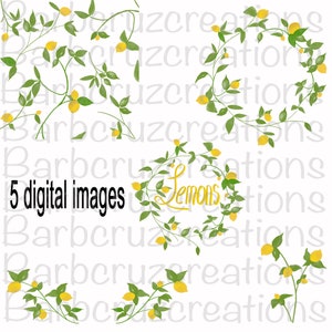 Lemons, Wreath, Frame, Lemon Clip Art, 5 Digital Images, Bundle , PNG, Digital Designs, Instant Downloads, Sublimation Designs, transparent