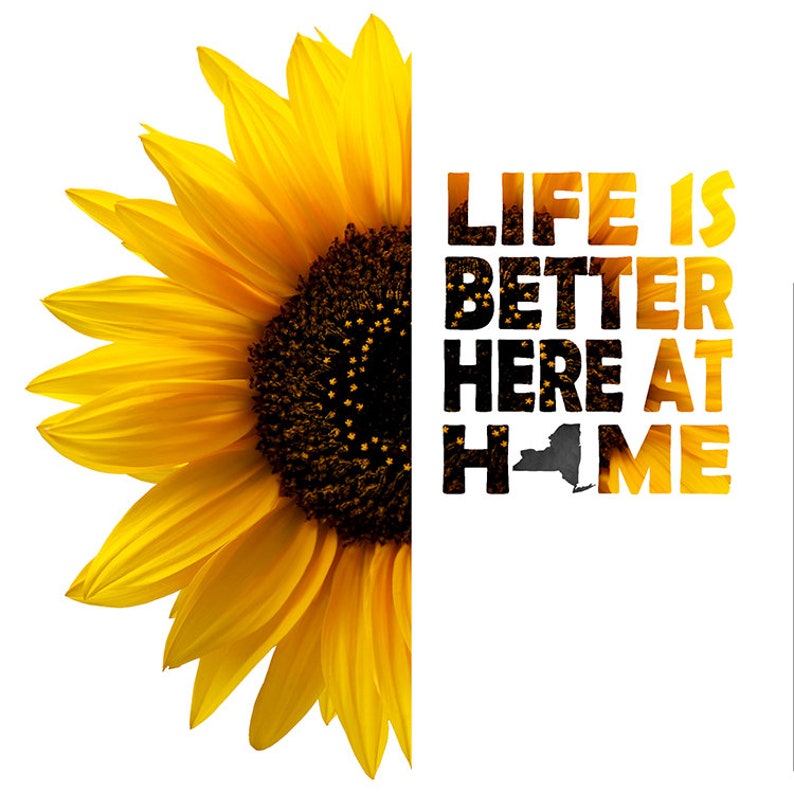 Free Free 100 Realistic High Resolution Sunflower Svg SVG PNG EPS DXF File