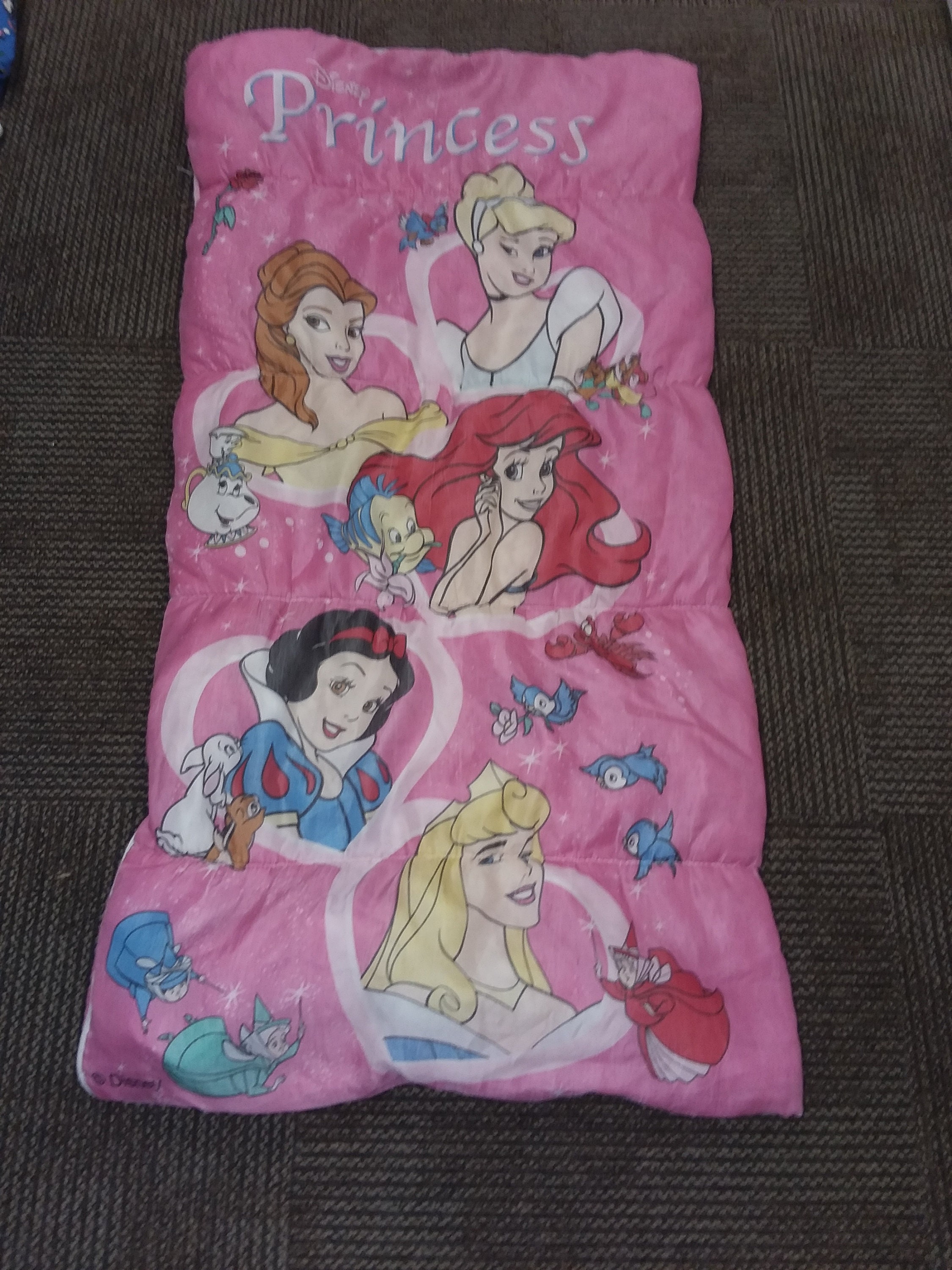 cinderella sleeping bag