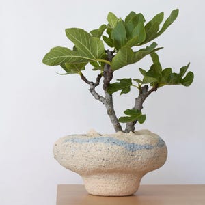 Sculpturale vaas, schip in Japanse stijl, keramische Ikebana-vaas, sculptuurkunst tafelblad, uniek gestructureerd ontwerp, modern Wabi Sabi-decor