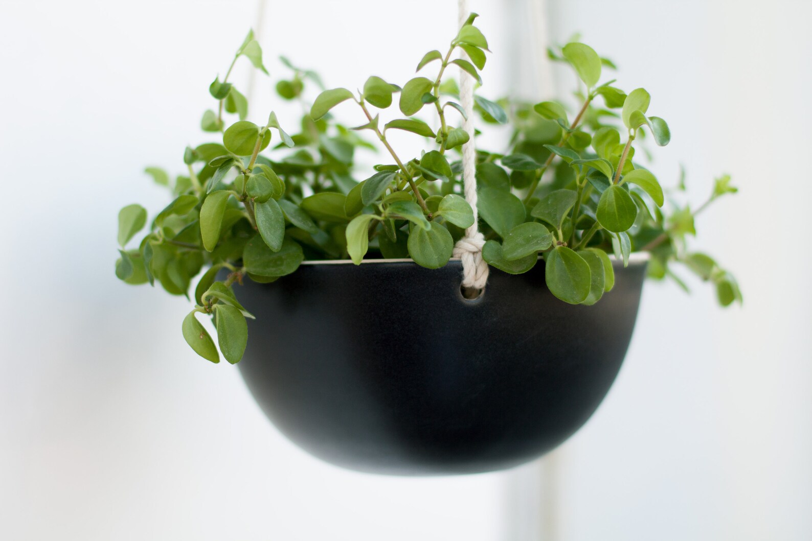 Black Hanging Planter Indoor Wall Succulent Planter Ceramic Etsy