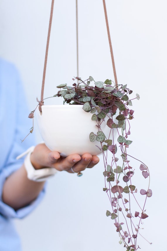 Hanging Planter Home Decor Ceramic Indoor - White Ceramic Indoor Wall Planter Hanging Planter Home Decor Ceramic Indoor - White Ceramic Indoor Wall Planter