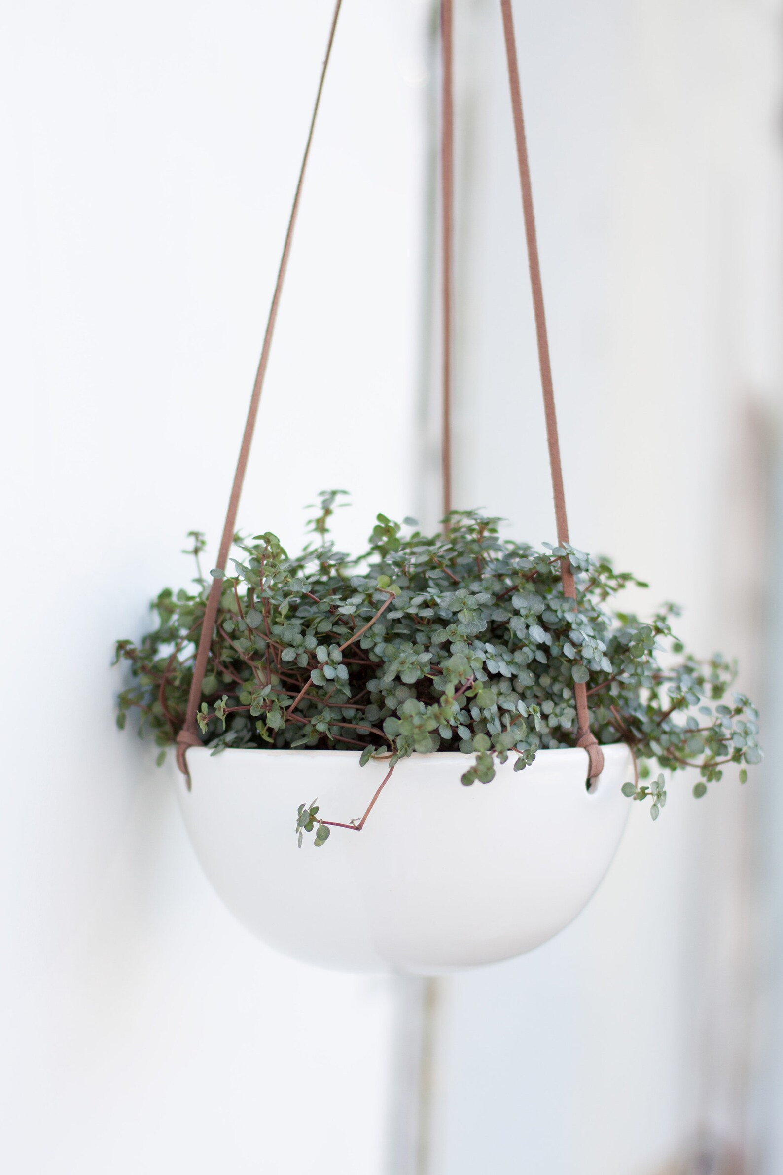 Black Hanging Planter Indoor Wall Succulent Planter Ceramic Etsy