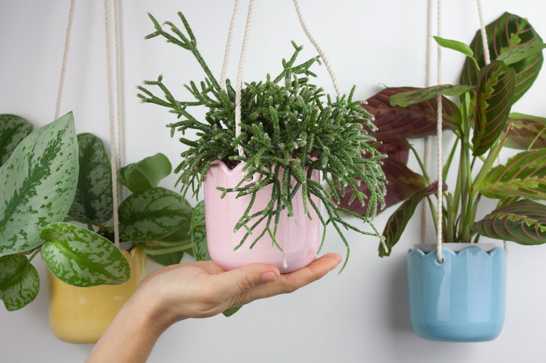 Hanging Planters Indoor Succulent Planter Wall Pots Plant Hanger Pot For Plants - Wall Hanging Pot Plants Hanging Planters Indoor Succulent Planter Wall Pots Plant Hanger Pot For Plants - Wall Hanging Pot Plants
