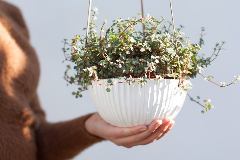 Succulent planter Wall planter Plant pot Plant hanger Hanging ceramic planter Pot for plant Hanging planter indoor Plant holder
