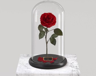 Beauty And The Beast Rose Enchanted Rose Rose In Glass Dome