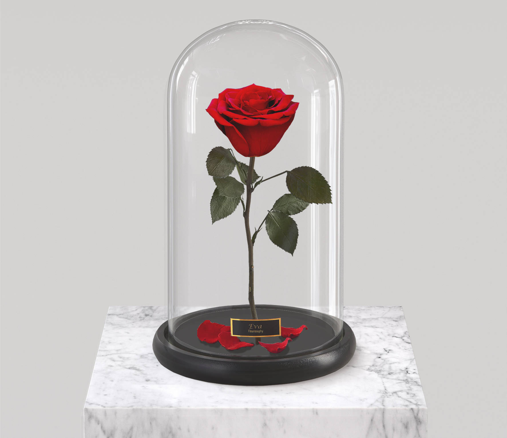 Beauty and the Beast Rose Large Enchanted Rose Rose in | Etsy