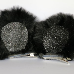 Black Bear Ears