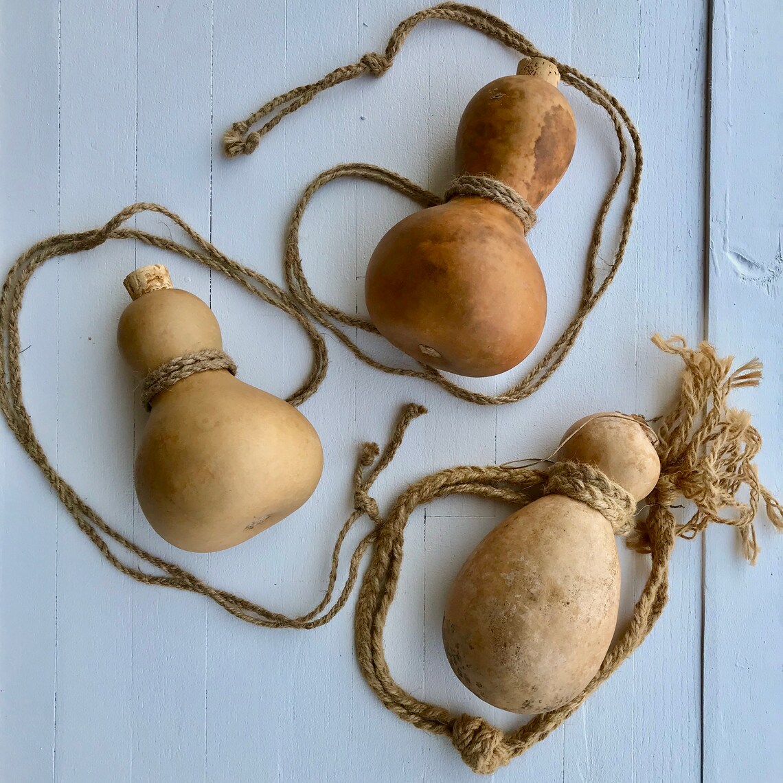 Gourd Canteen Etsy