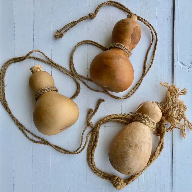 Gourd Canteen Etsy