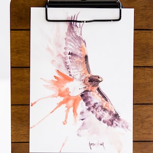 Red Tailed Hawk watercolor print