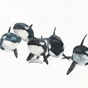 Orca Pod watercolor print