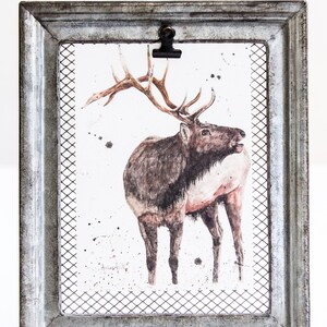 Bull Elk Calling watercolor print