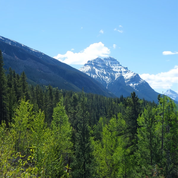 The Rockies Mountains | Mt Robison | landscape | British Columbia | Forests | wall art | home decor | nature | Depth of view, gift idea