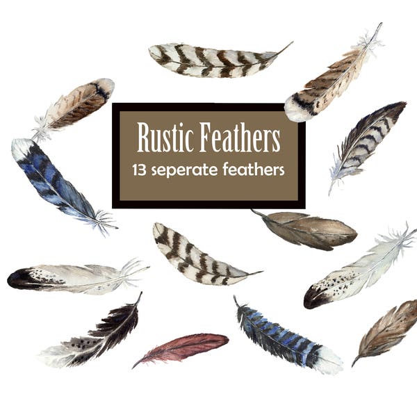 Rustic Feathers Collection of hand-painted natural feathers, watercolor feathers Clip Art