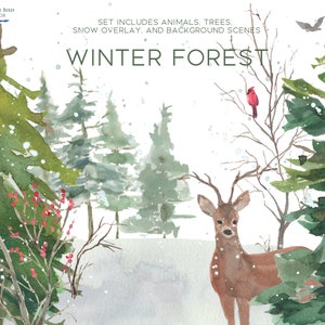 Winter Forest watercolor clipart, DIY Christmas Card, winter scene, pine trees, deer, rabbit, snow, cardinal, snow overlay, winterberry bush