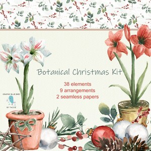 Botanische kerstillustraties omvatten krans, slinger, amaryllis, dennenappels, groen, naadloos papier, kerstbollen