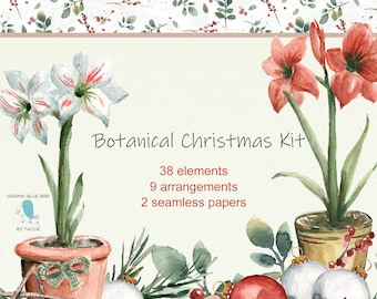 Botanical Christmas Illustrations includes Wreath, Garland, Amaryllis, Pinecones, Greenery, Seamless Papers, Christmas Bulbs