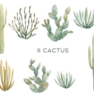 May include: Eight watercolour illustrations of different types of cacti, including a tall, slender cactus, a prickly pear cactus, and a spiky agave cactus. The illustrations are in shades of green and brown, and the text "8 CACTUS" is written in green below the cacti.