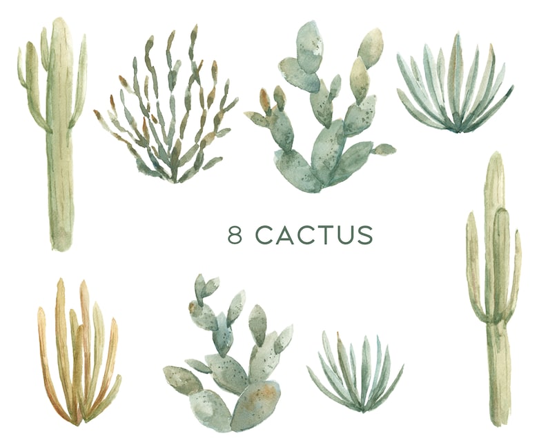 May include: Eight watercolour illustrations of different types of cacti, including a tall, slender cactus, a prickly pear cactus, and a spiky agave cactus. The illustrations are in shades of green and brown, and the text "8 CACTUS" is written in green below the cacti.