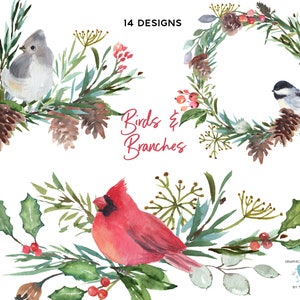 Dessins d’hiver avec des oiseaux, Illustrations de Noël avec cardinaux, Verdure d’hiver et oiseaux, Clipart à l’aquarelle, Dessins de Noël des bois