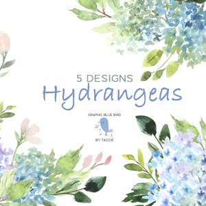 Blue Hydrangeas Transparent Background, Blue Watercolor Flowers and Pink Hydrangeas with Greenery