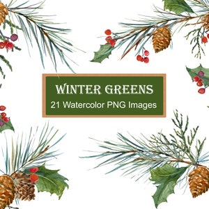 Winter Groen Clip Art, Pine Clipart, Christmas Greens, Bladeren, Bessen, Hulst, Dennenappels, Dennen, Aquarel Clipart DIY Kerstkaarten