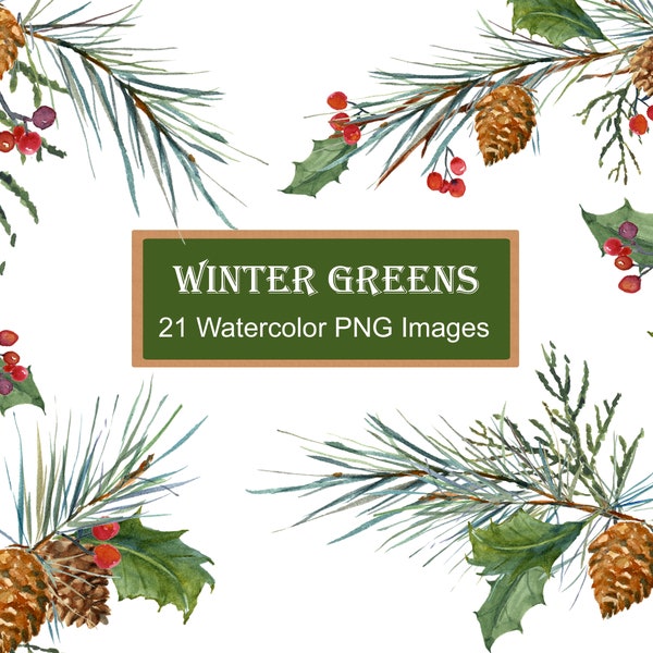 Winter Greenery Clip Art, Pine Clipart, Christmas Greens, Leaves, Berries, Holly, Pine cones, Pines, Watercolor Clipart DIY Christmas Cards