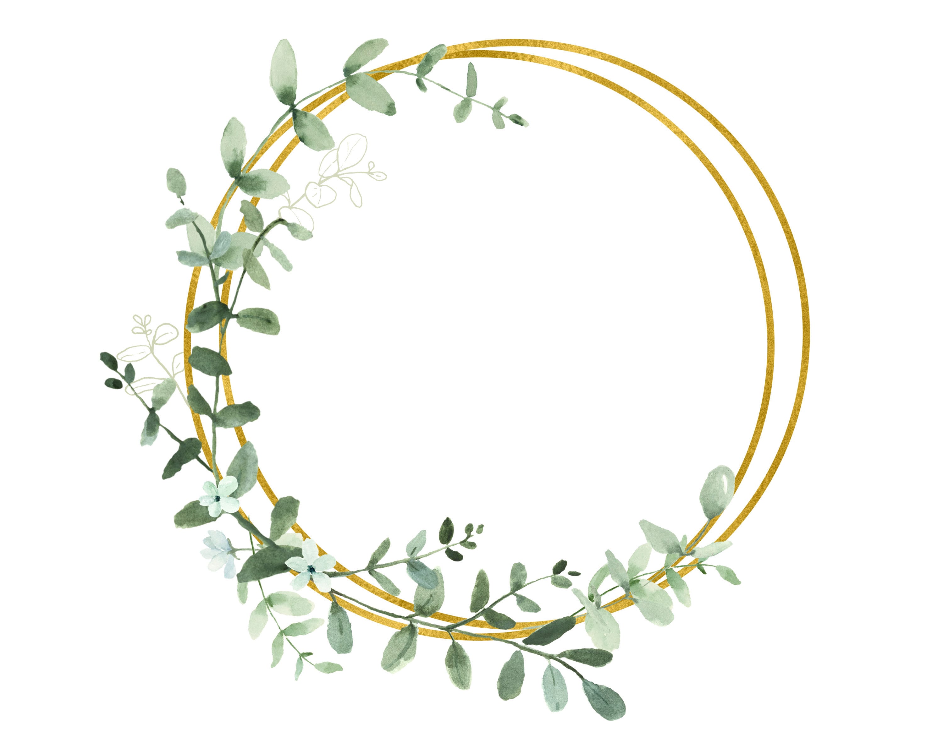 Eukalyptus-Zweige Kränze und Rahmen grün Aquarell ClipArt | Etsy