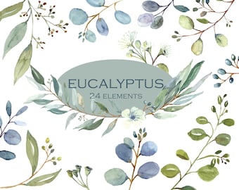 May include: Watercolor illustration of eucalyptus leaves and branches in shades of green and blue. The illustration includes 24 individual elements, perfect for crafting and design projects.