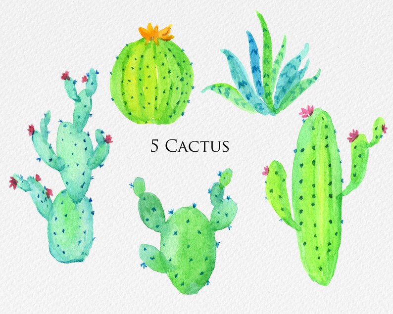 Fiesta Clip Art Kit, Picado banner, Pinata, Guitar, Mexican Flowers, Latino Party Designs, Watercolor Clip Art, Cactus, Frames & Borders image 4