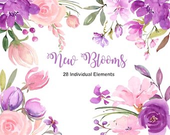 Może przedstawiać: Akwarelowy wzór kwiatowy z różowymi, fioletowymi i zielonymi kwiatami i liśćmi. Tekst "New Blooms" jest napisany kursywą, a pod nim słowa "28 Individual Elements".