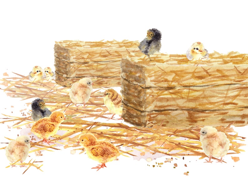 Baby chicks and eggs Five different chicks hand painted watercolor DIY Easter Cards Easter eggs and Easter chicks