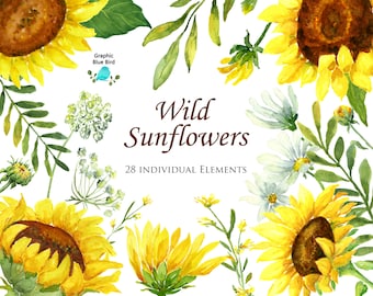 Sunflowers Watercolor Clip Art Set, 28 Individual Elements, Sunflowers, Wildflowers Daisies, Greenery, Leaves, Ferns, Yellow Flowers